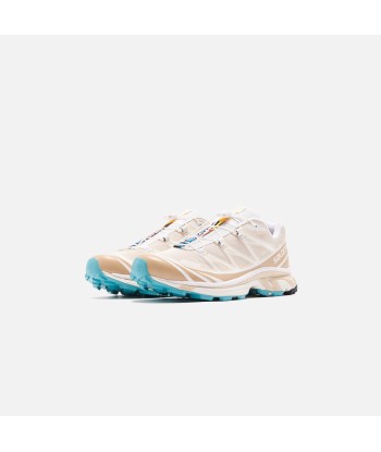 Salomon XT-6 ADV - Bleached Sand / White / Meadowbrook les muscles