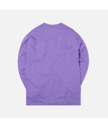 Nike NRG ACG L/S Tee Logo - Space Purple prix pour 