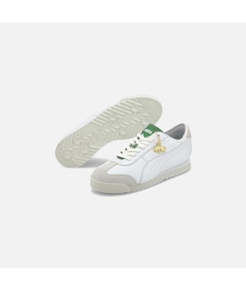 Puma Roma '68 R. Dassler Legacy - Col Green vous aussi creer 